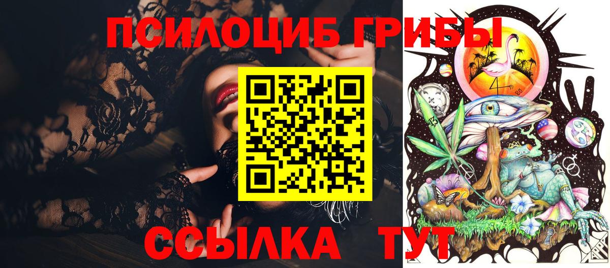 Псилоцибиновые грибы Psilocybine cubensis Ржев